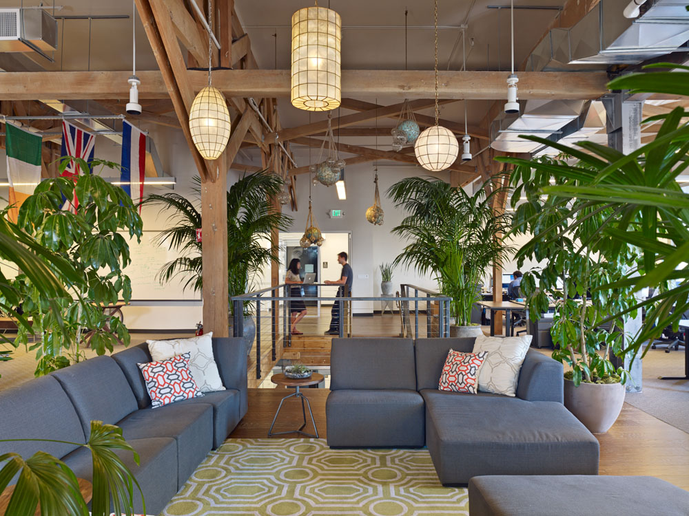 StripeHQ_5