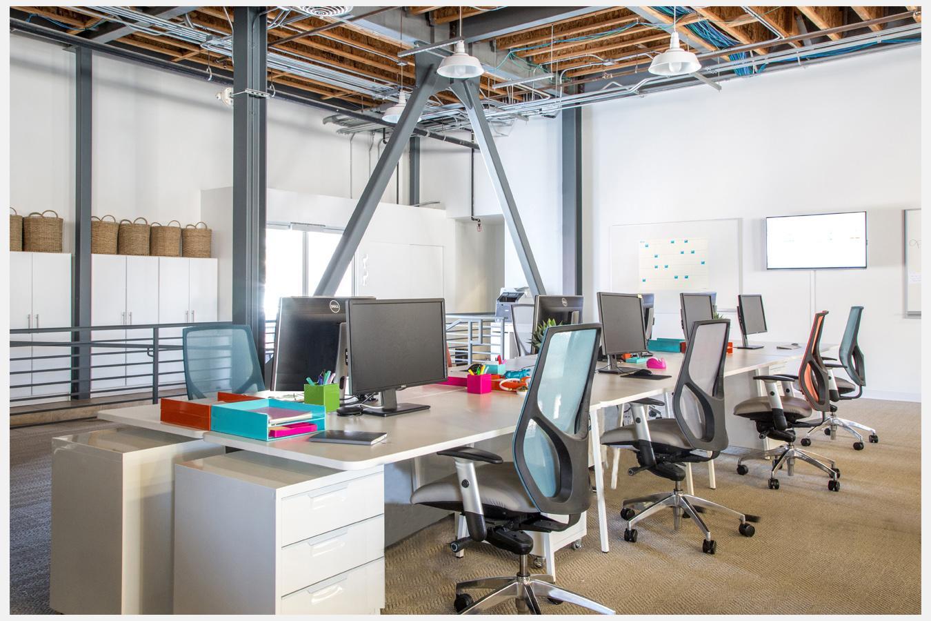Workspace… dog-vacay-santa-monica-15
