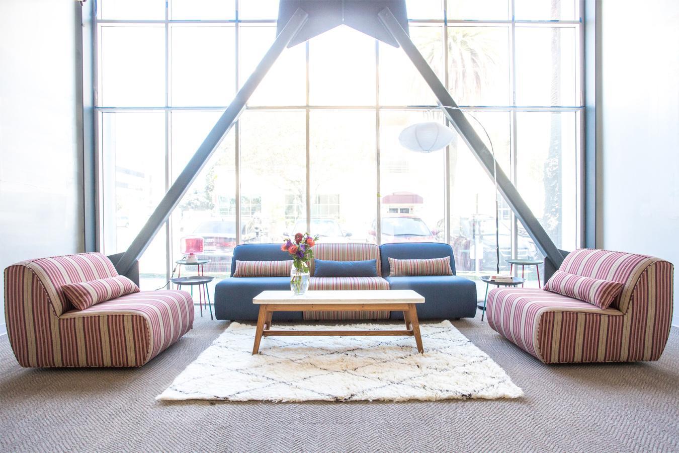 Breakout space… dog-vacay-santa-monica-6
