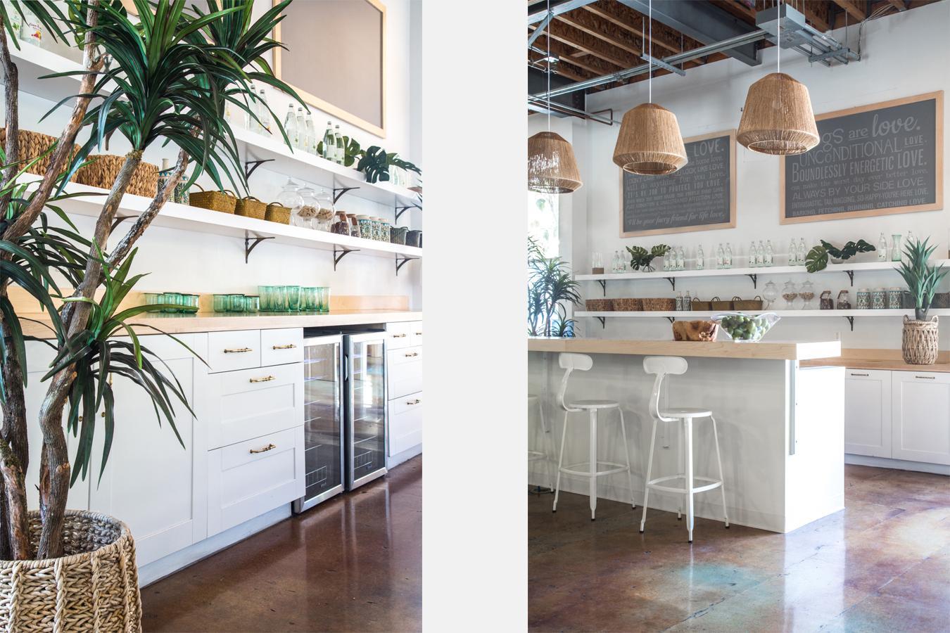 Kitchen… dog-vacay-santa-monica-9