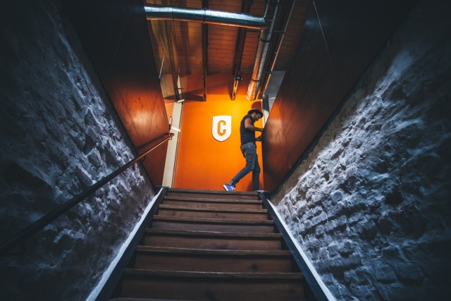 Check Out Photos of COBE’s Stylish Munich Office