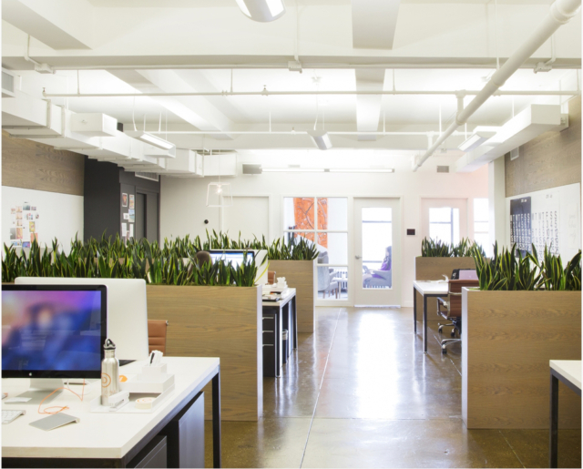 A Look Inside Day One Agency’s Modern NYC Office