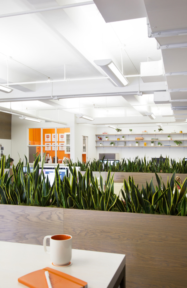 A Look Inside Day One Agency’s Modern NYC Office
