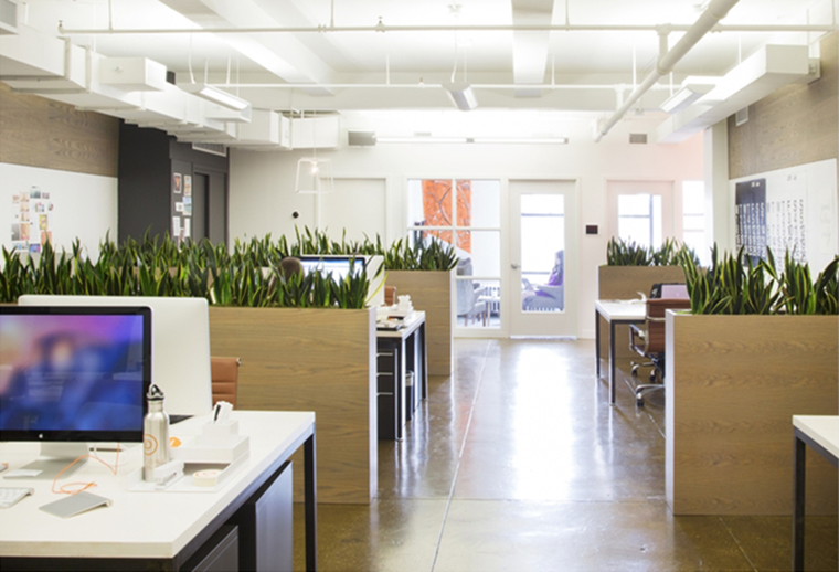 A Look Inside Day One Agency’s Modern NYC Office