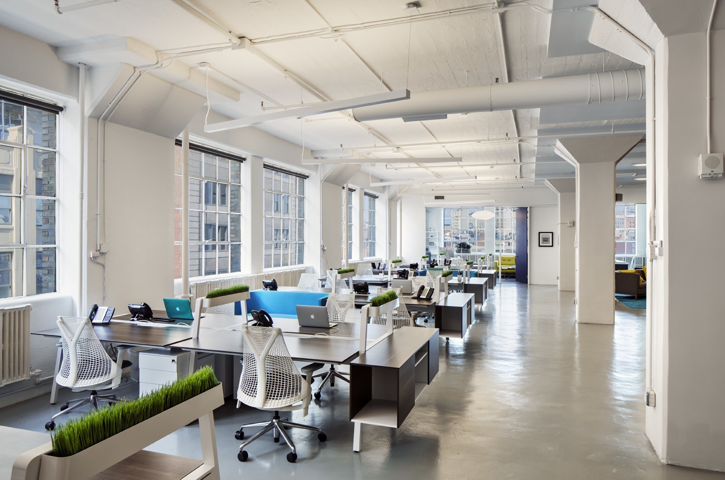 juni Diverse mor Take a Look Inside Now What's Stylish NYC Office - Officelovin'