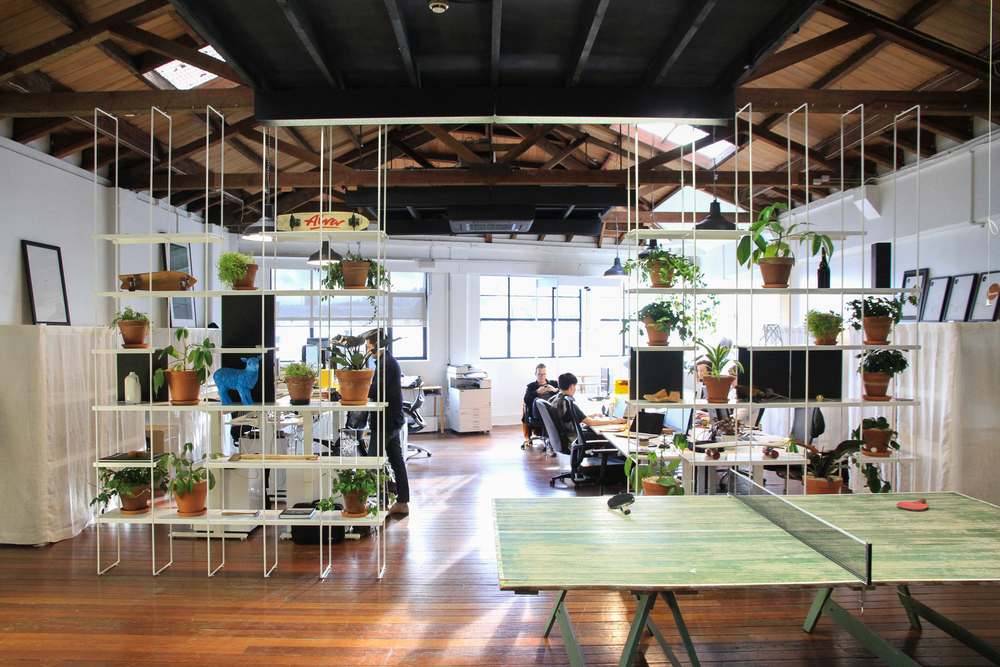 A Tour of The Aviary’s Shared Workspace in Auckland