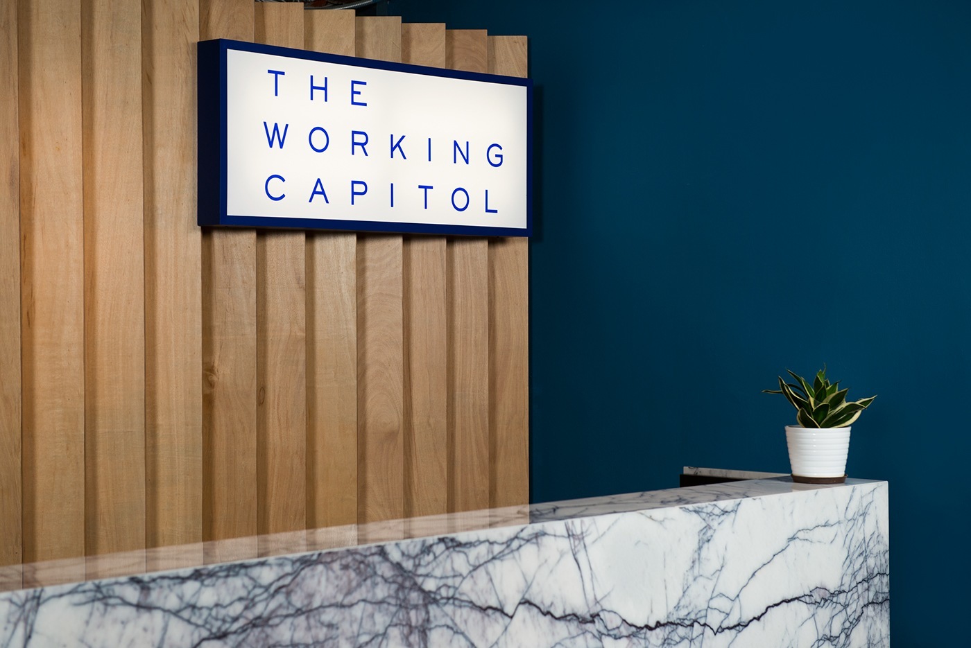 the-working-capitol-office-3