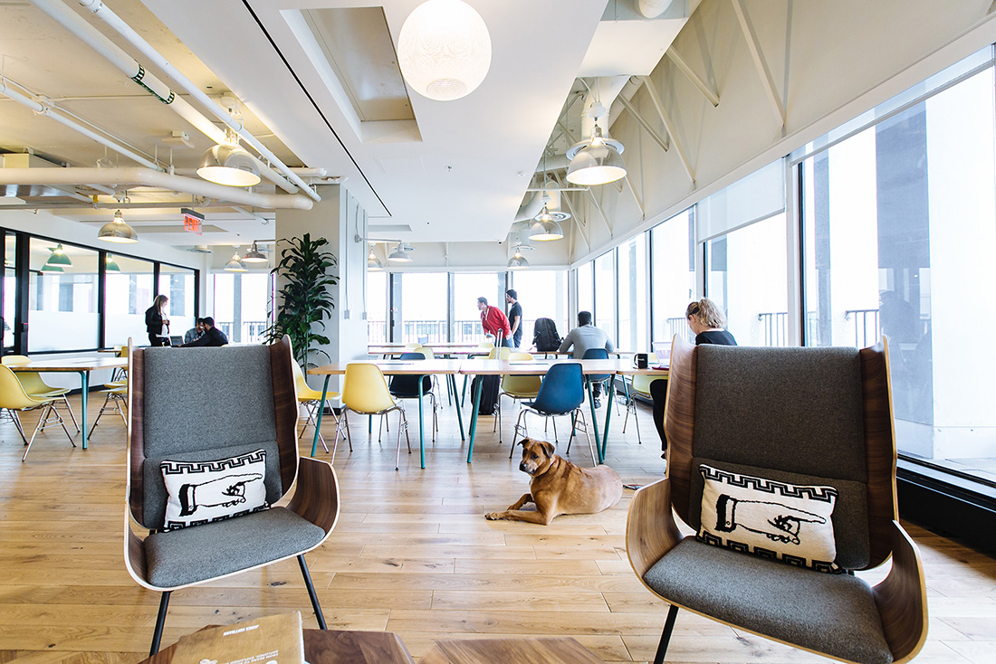 A Look Inside WeWork – Crystal City