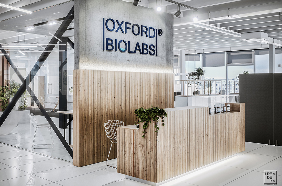 Inside Oxford Biolabs’ Contemporary Lviv Office