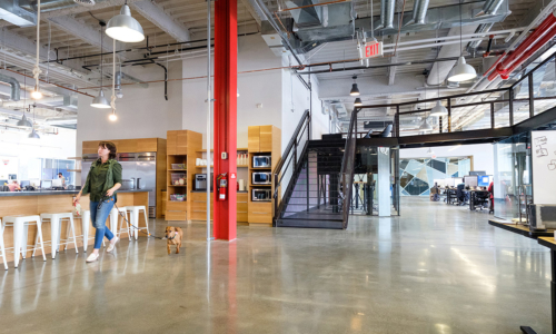 Qualtrics-office-m