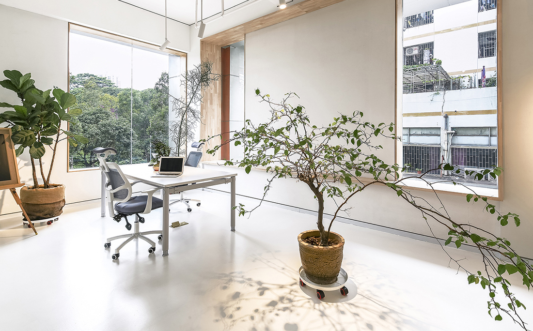 A Look Inside Bloom Design Studio’s Shenzhen Office