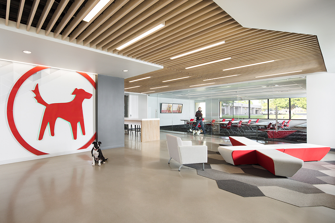 A Tour of Redtail Technology’s Dog-Friendly Office in Sacramento