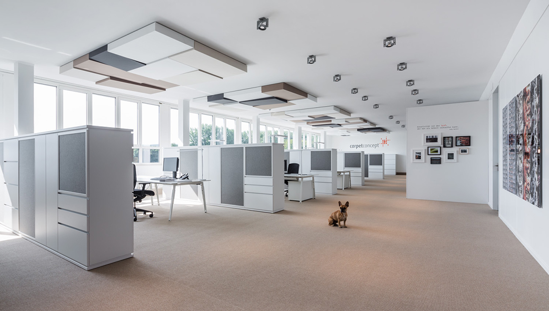 Inside Carpet Concept’s Minimalist HQ in Bielefeld