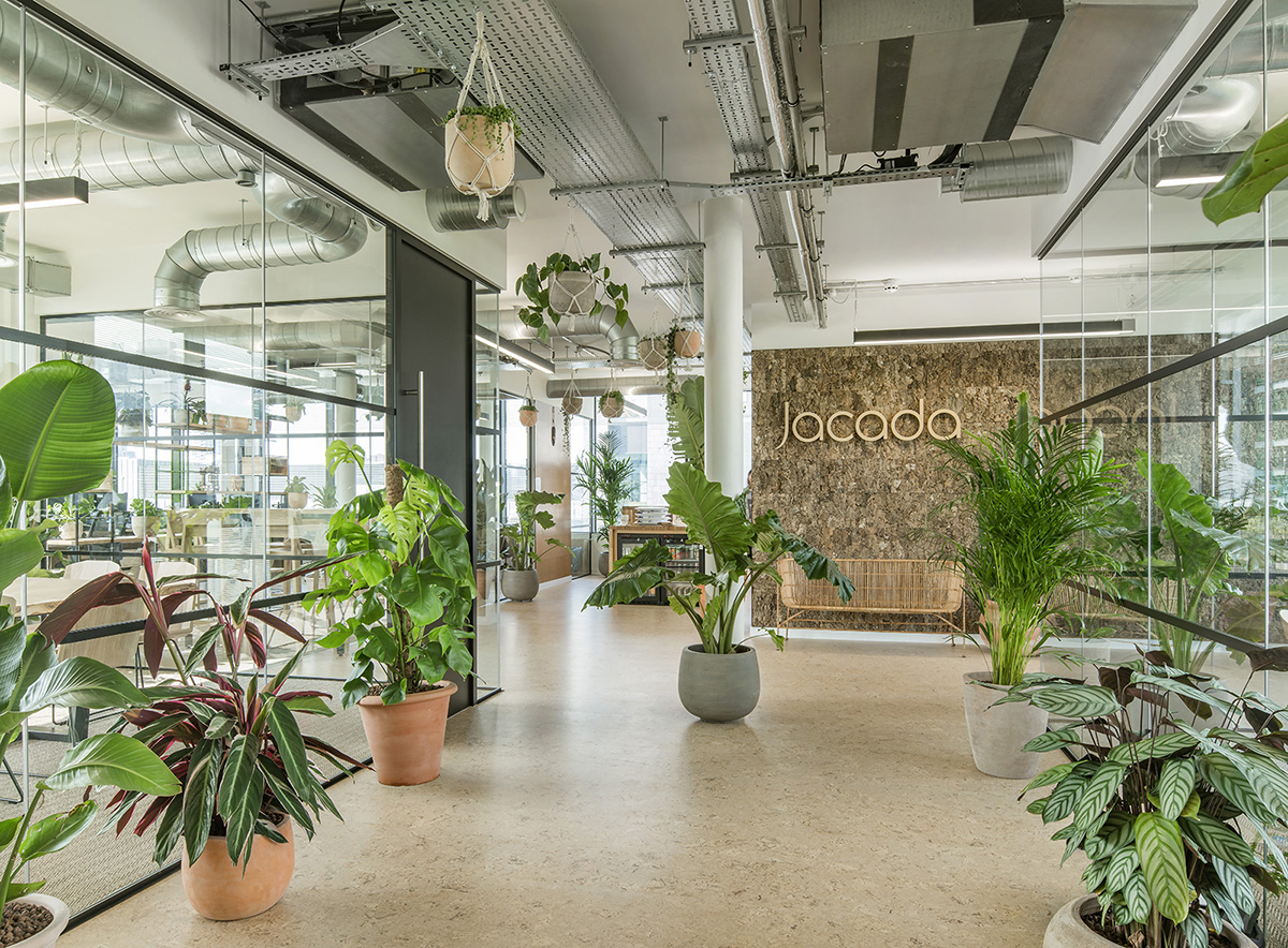 A Tour of Jacada Travel’s Biophilic London Office