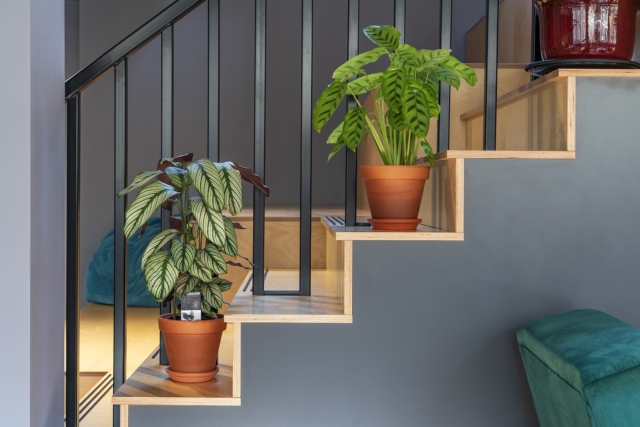 A Look Inside Canvas’ Workspace in Shoreditch