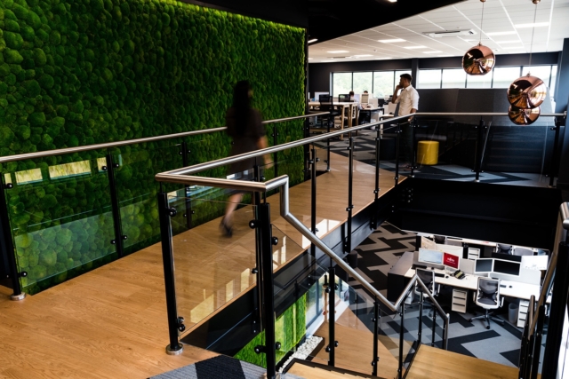 Take a Look Inside Dolphin Solutions’ New Sussex Office