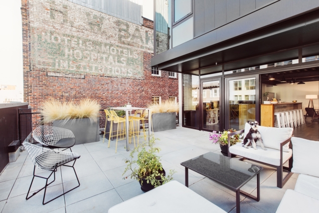 A Peek Inside Tectonic’s New Seattle Office