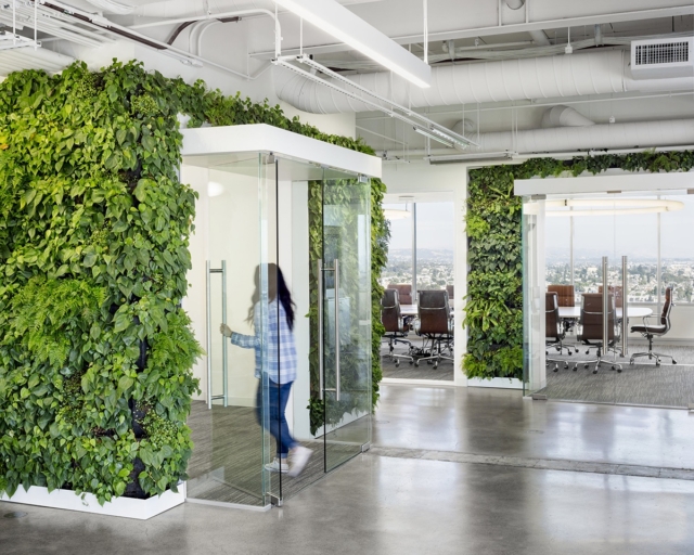 Inside Mosaic’s Cool New Oakland Office