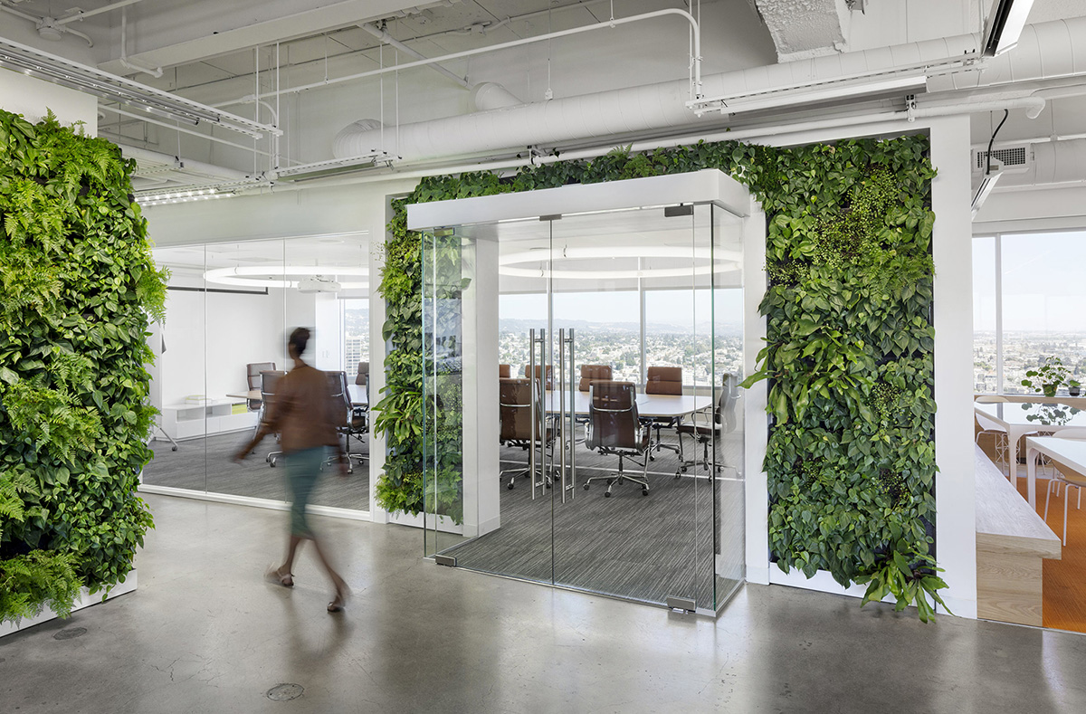 Inside Mosaic’s Cool New Oakland Office