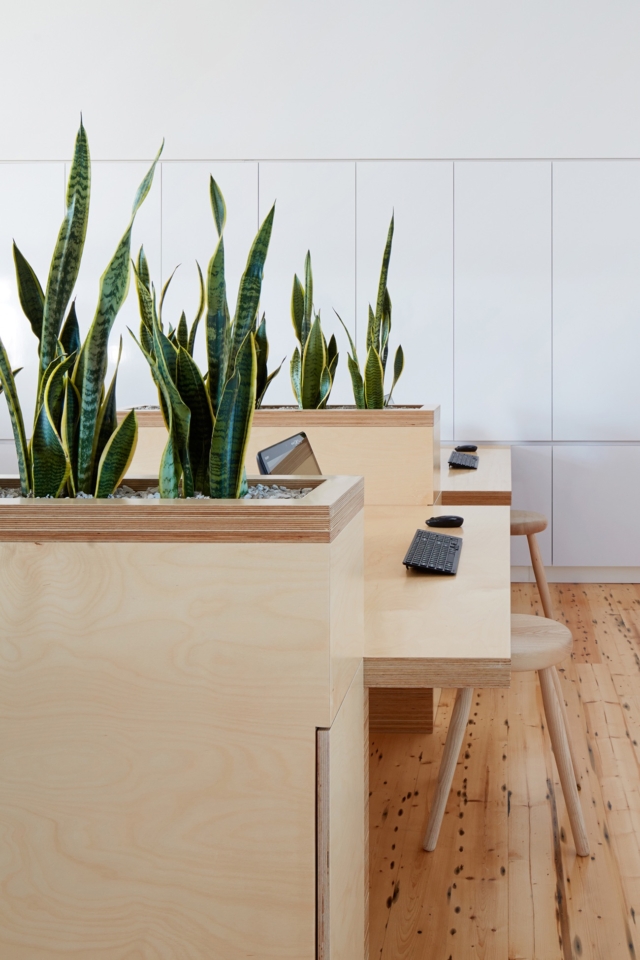 A Tour of Birkenstock’s Eco-Friendly Australian HQ in Melbourne