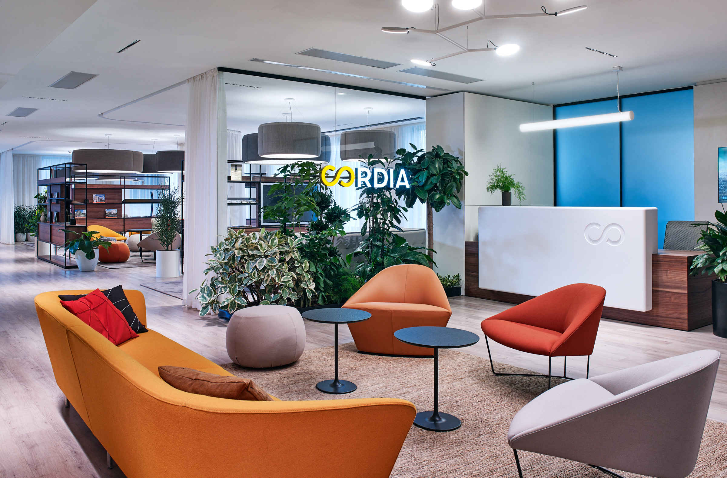 A Look Inside Cordia’s Marketing Office in Budapest