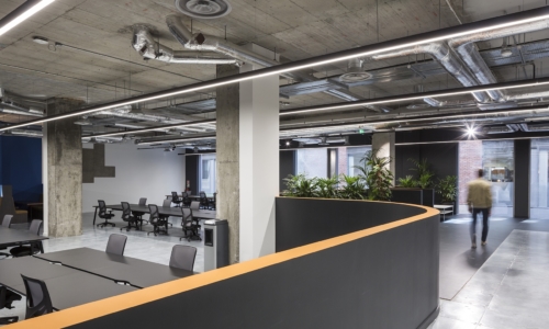 rothco-office-dublin-4