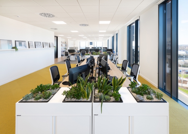 A Peek Inside Tarkett’s New Ashford Office