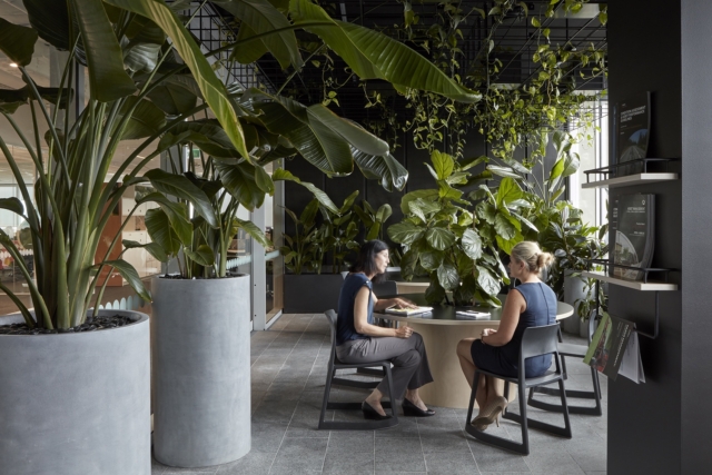 A Peek Inside Cardno’s Biophilic Brisbane HQ