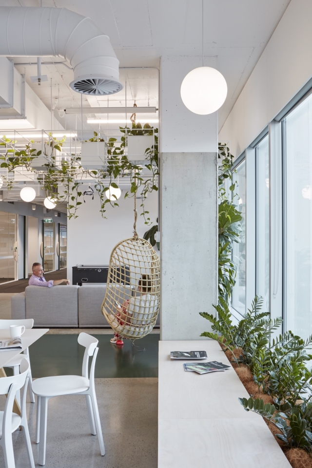 A Peek Inside Cardno’s Biophilic Brisbane HQ
