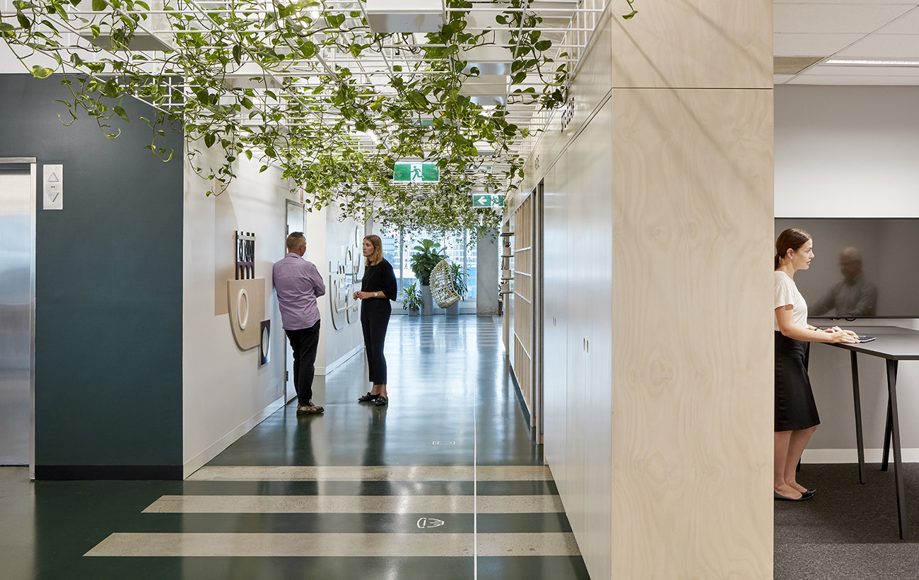 A Peek Inside Cardno’s Biophilic Brisbane HQ