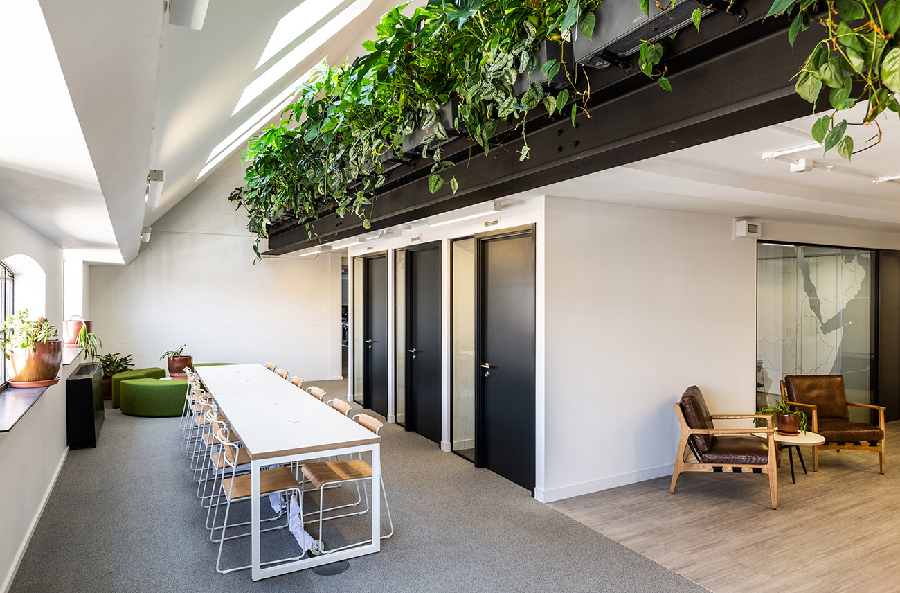 A Tour of The Fairtrade Foundation’s Biophilic London Office