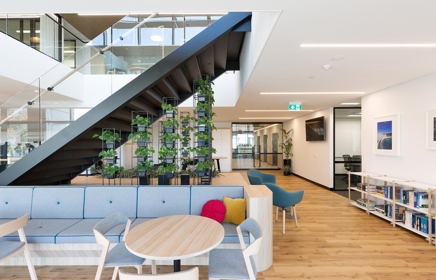 A Tour of SUEZ’s Biophilic Sydney Office