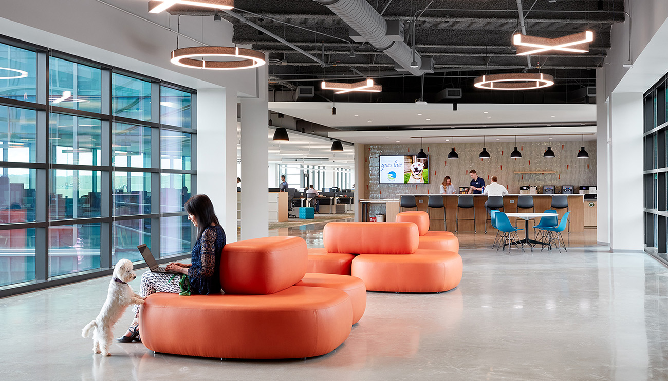 A Tour of Mars Petcare’s New North American HQ