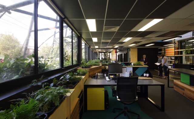 Inside Melrose Health’s Biophilic Office/Warehouse in Melbourne