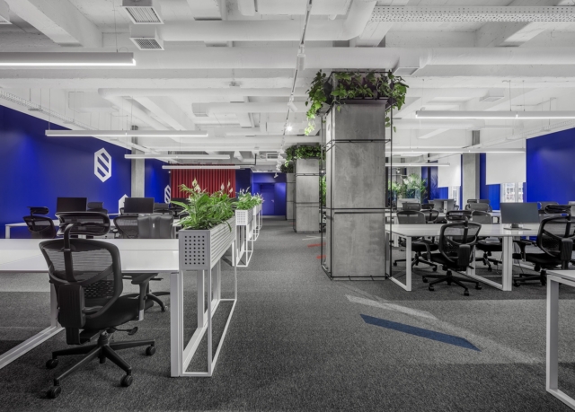 A Tour of SocialTech’s Biophilic Kiev Office
