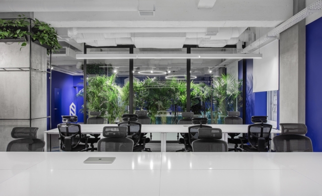 A Tour of SocialTech’s Biophilic Kiev Office