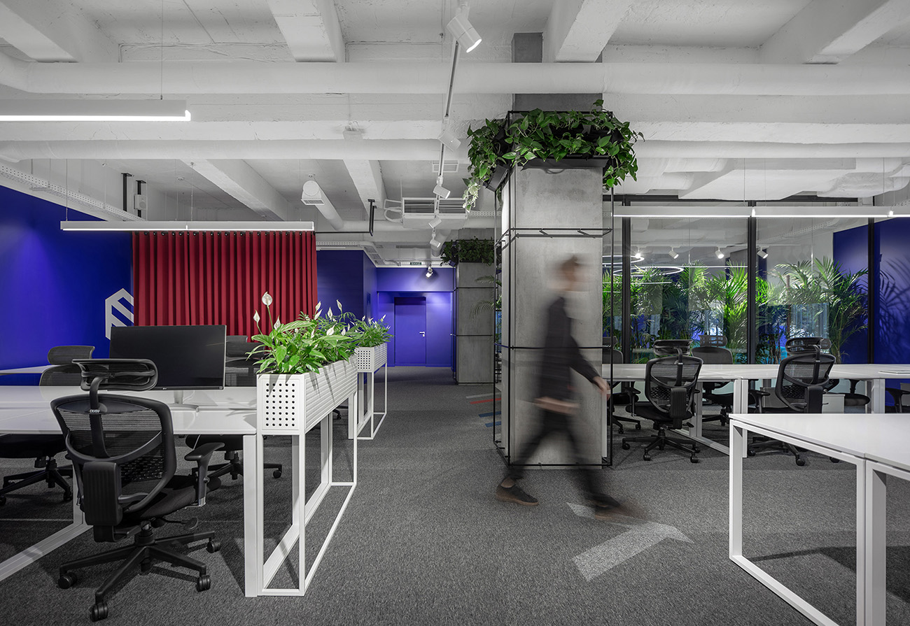 A Tour of SocialTech’s Biophilic Kiev Office