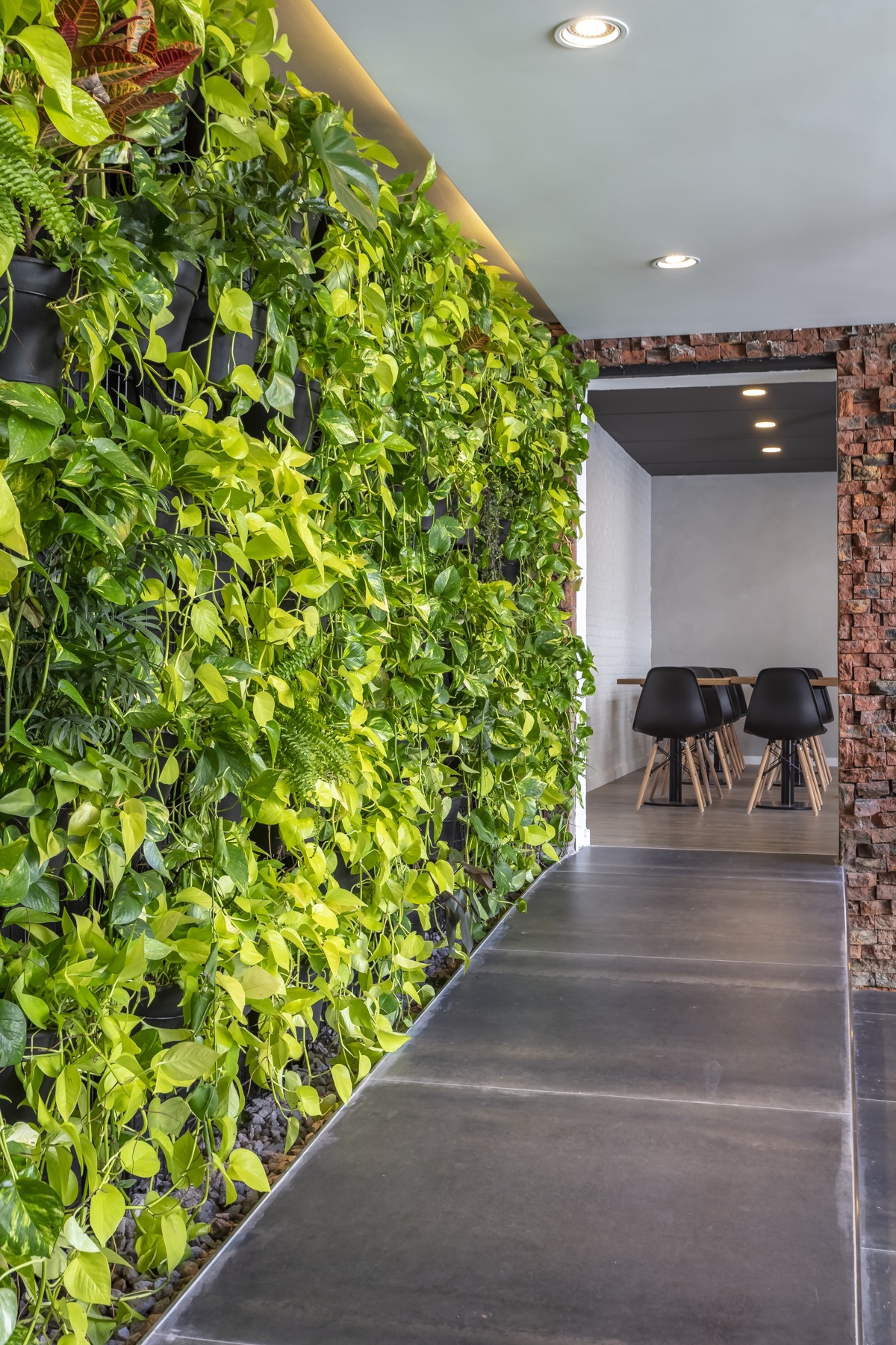 Biophilic wall uala-buenos-aires-office-13