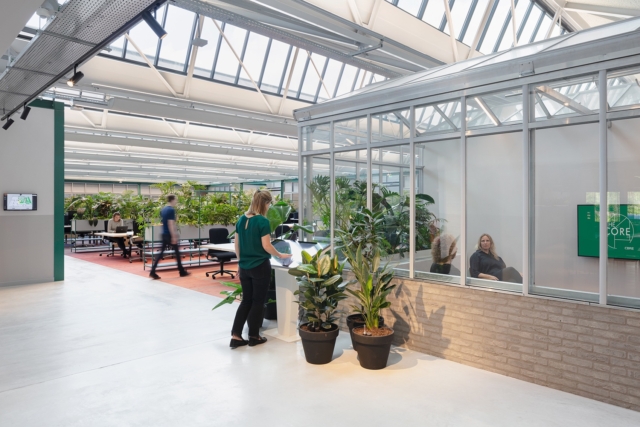 A Tour of CBRE’s Biophilic Amsterdam HQ
