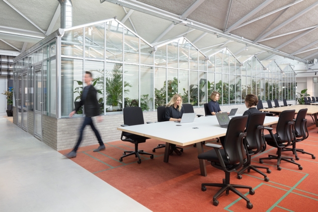 A Tour of CBRE’s Biophilic Amsterdam HQ