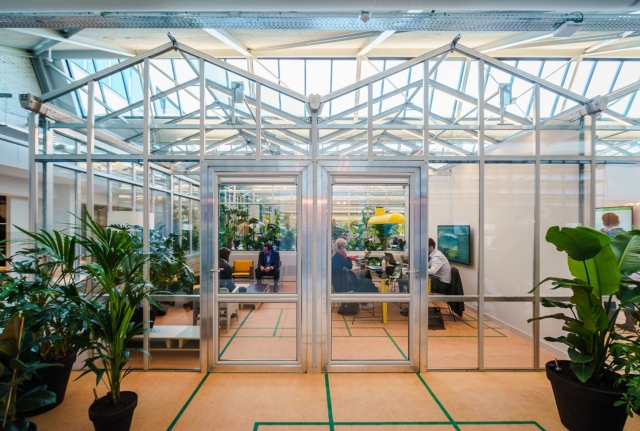 A Tour of CBRE’s Biophilic Amsterdam HQ