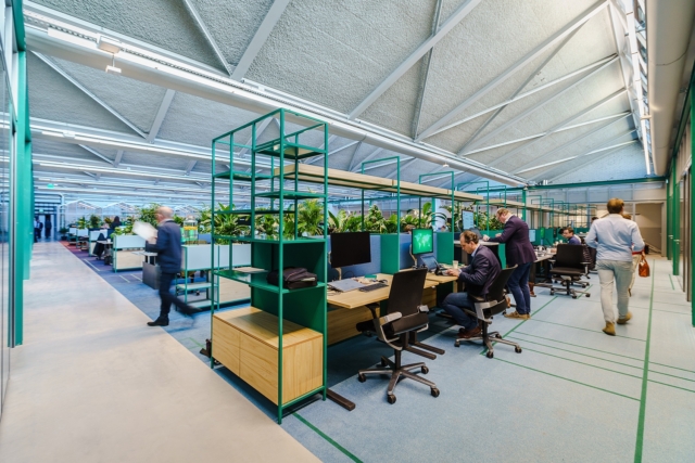 A Tour of CBRE’s Biophilic Amsterdam HQ