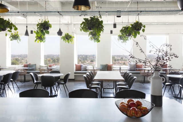 A Look Inside Create Advertising’s Modern Los Angeles Office