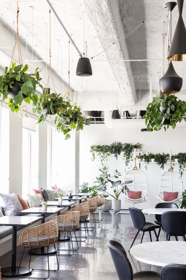 A Look Inside Create Advertising’s Modern Los Angeles Office