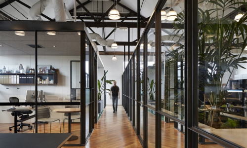 light-warrior-cremorne-office-mm