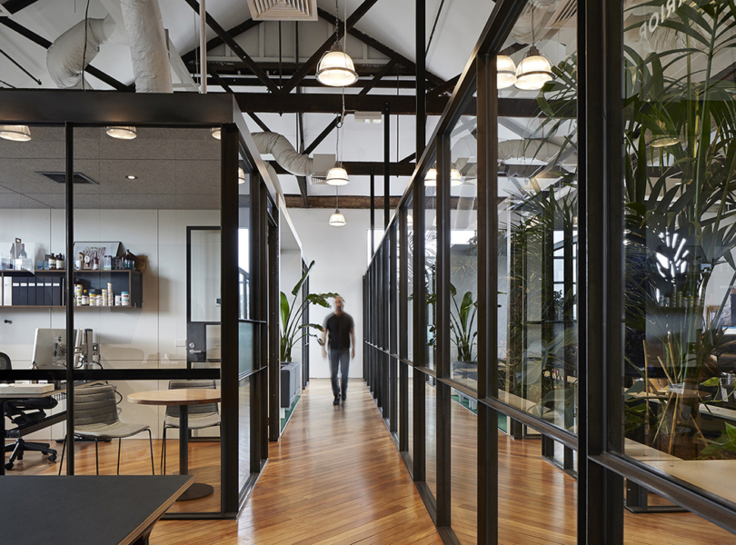 light-warrior-cremorne-office-mm