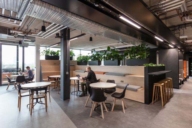 A Look Inside Elements Talent Consultancy’s Biophilic London office