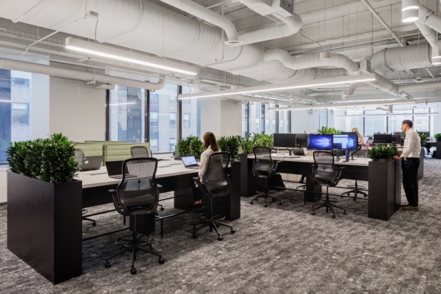 A Tour of Lendlease’s Biophilic NYC Office