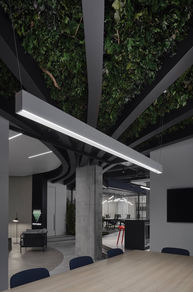 A Tour of North Drive’s Sleek New Toronto Office