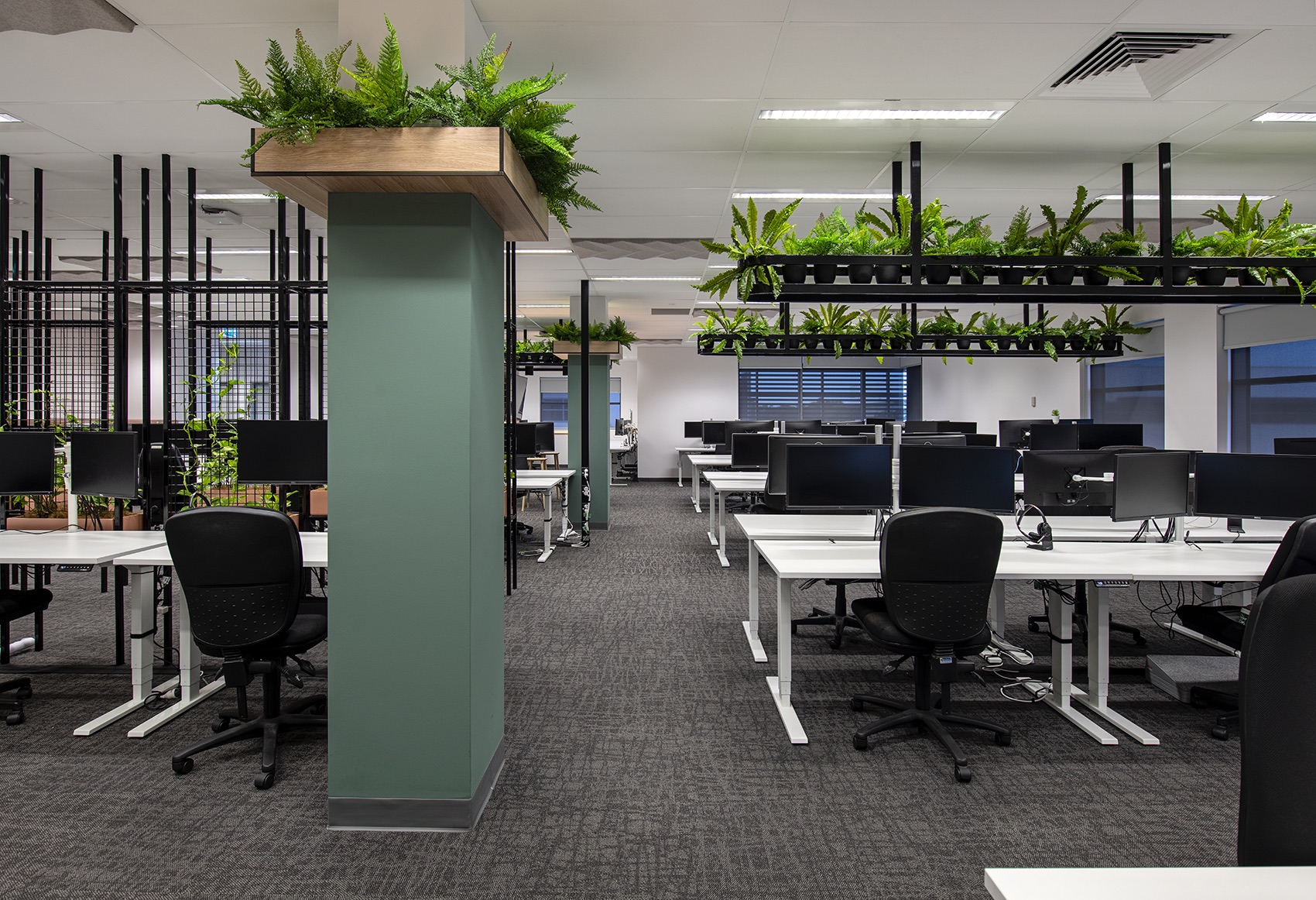 Biophilic workspace aurecon-office-darwin-5